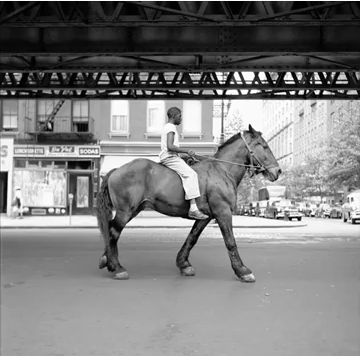 Finding Vivian Maier