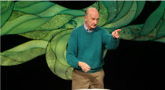 TED Talk: How to use ONE paper towel.