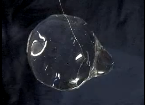 Zero Gravity Water Bubble